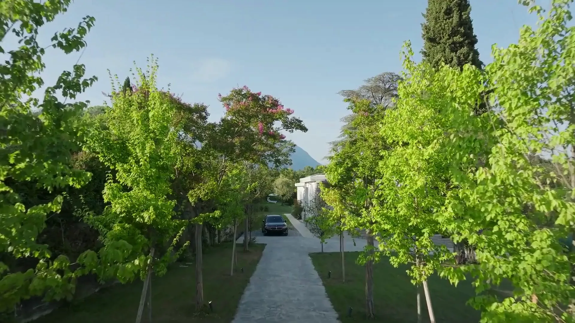 Short film of Tree House Lake Garda: the villa, its garden, terraces and interiors in San Felice del Benaco on Lake Garda